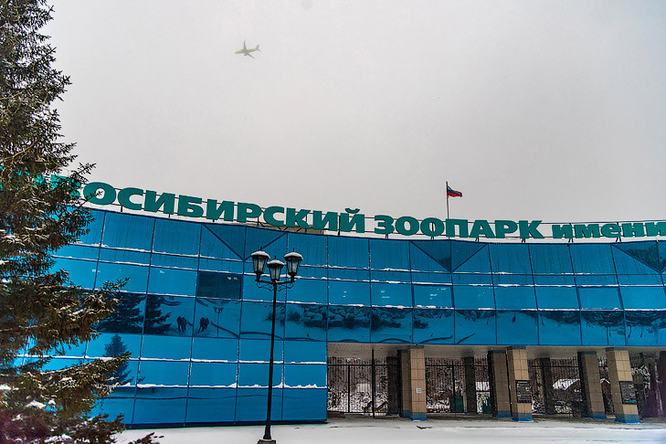    фото Андрея Заржецкого