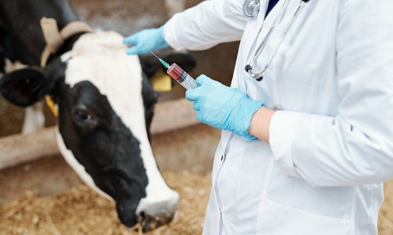      Малны тота бел, ашны йота бел!