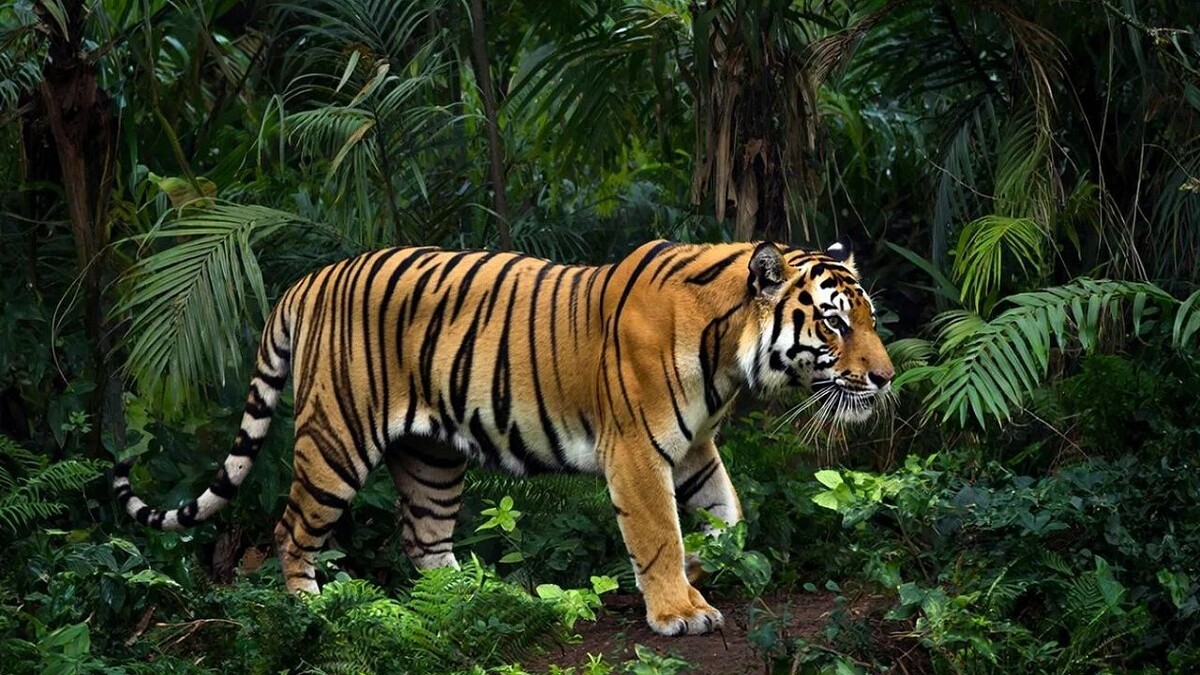    Изображение создано с помощью ИИ