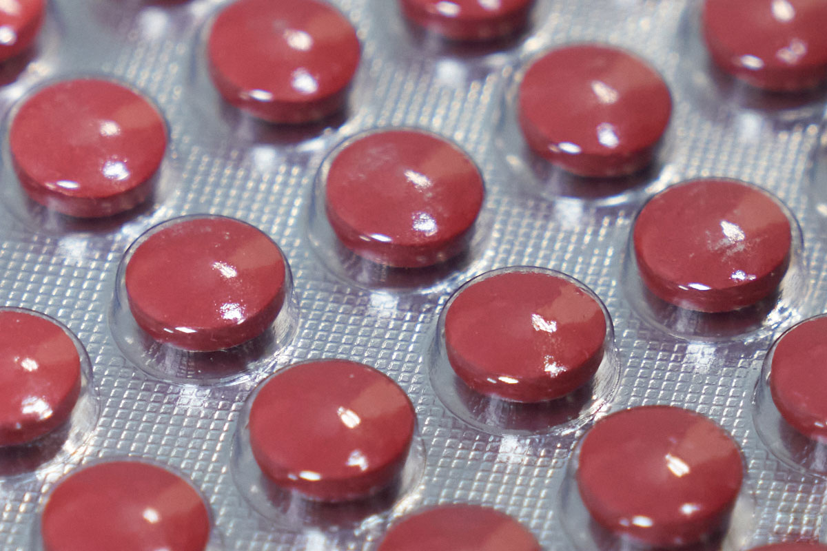    Фото: Лидия Аникина