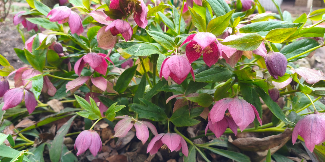 Первая волна заказов прошла: что дальше? Небольшой отчет на конец марта