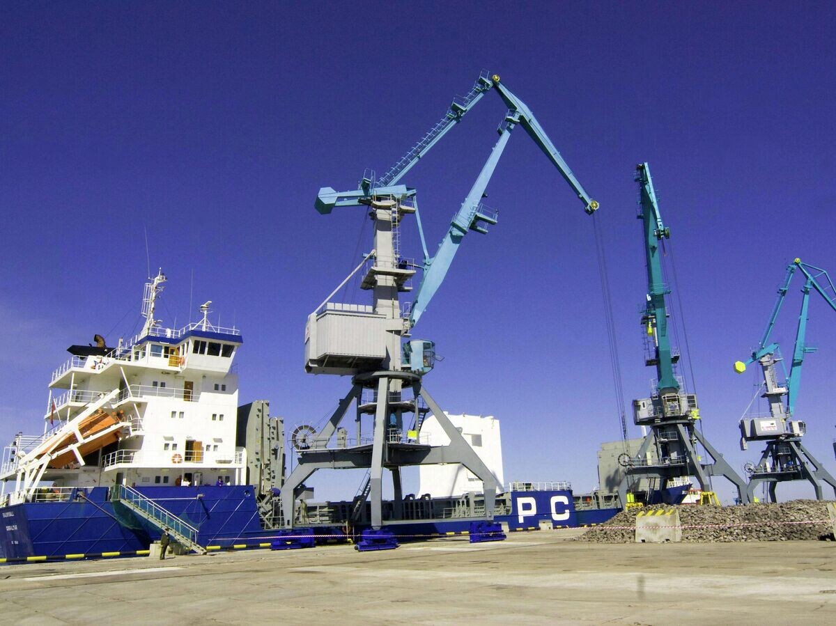    На территории универсального перегрузочного комплекса в морском торговом порту Усть-Луга. | © РИА Новости / Алексей Даничев
