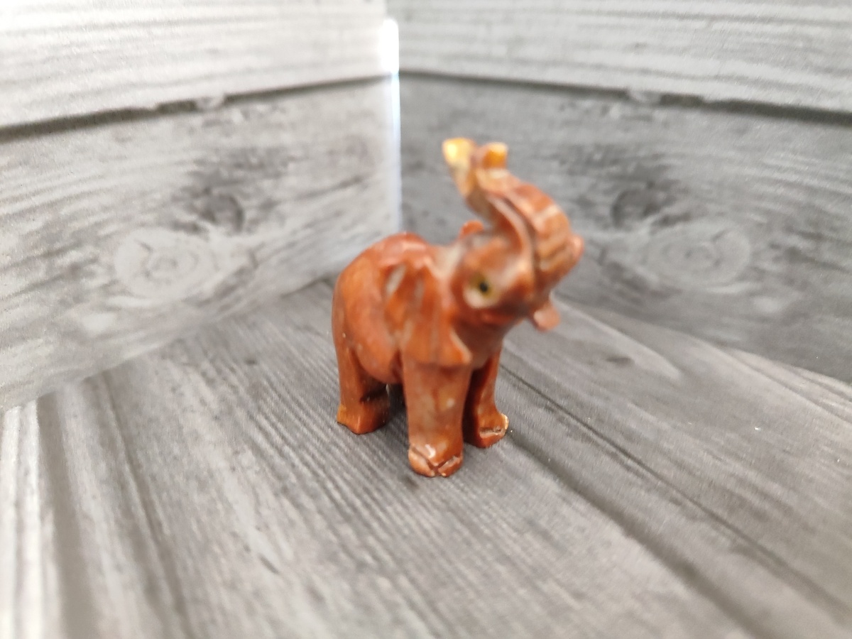 Слоник из Пражского зоопарка