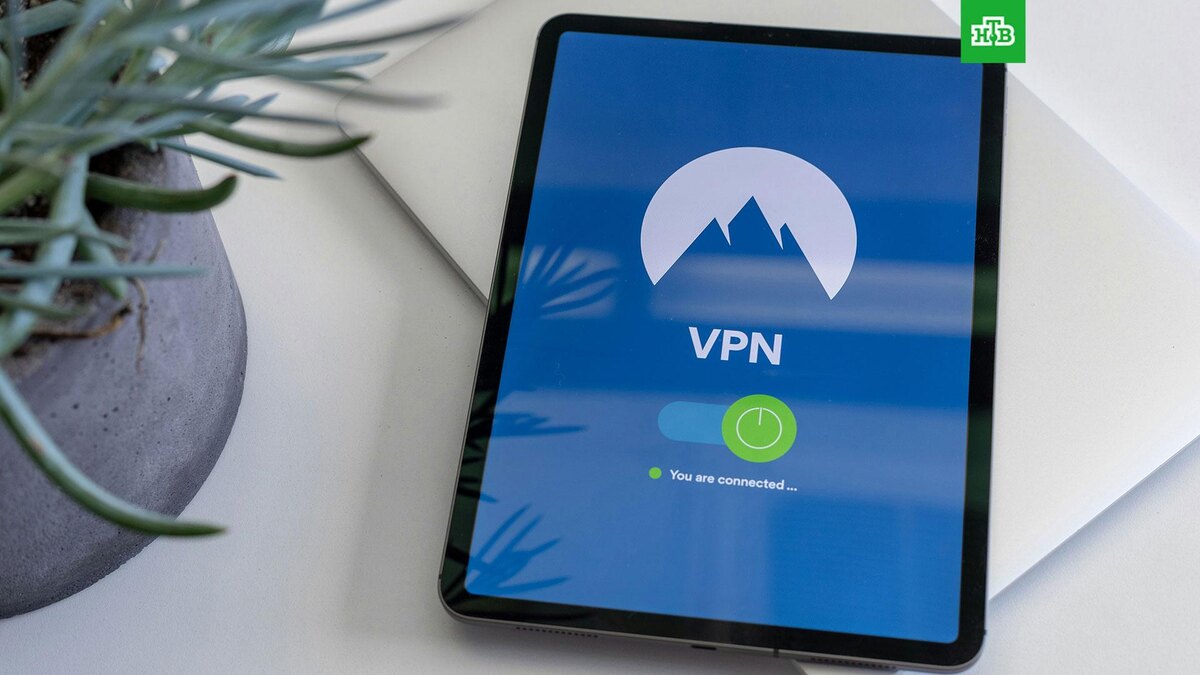    Фото: Petter Lagson / unsplash.com