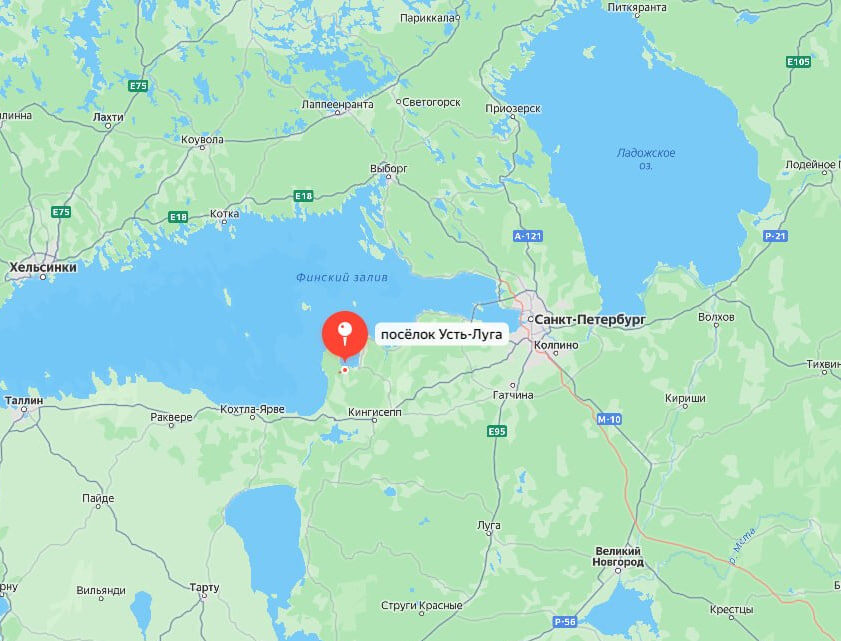    Фото: соцсети