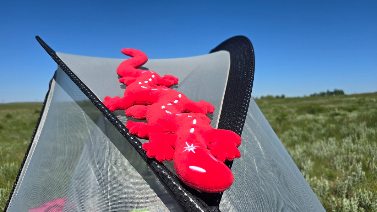 Бутя со мной прошла почти 200 км.