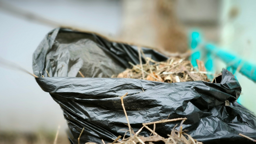 Жители Иркутска выйдут на уборку города 25 апреля