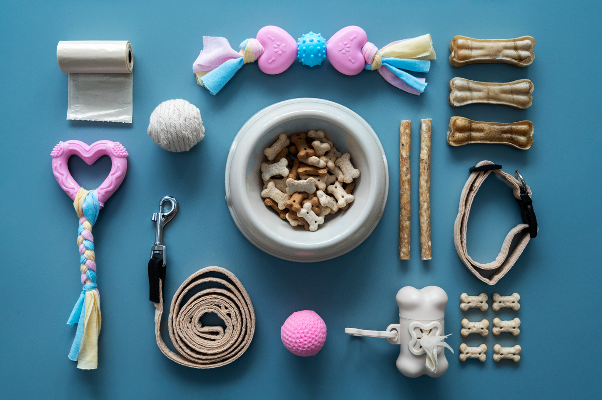 Собаки «Фото разработано Freepik»