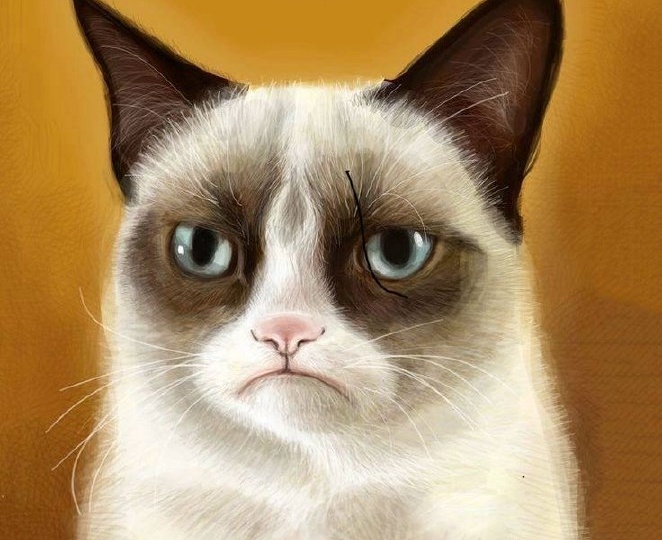 — Доброе утро! Как спалось