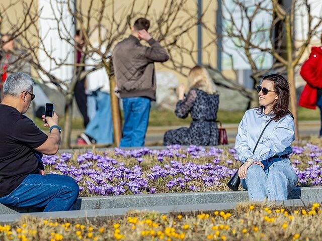    Фото: портал мэра и правительства Москвы/Владимир Охрименко