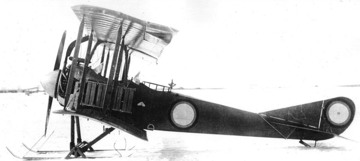 "Лебедь-12" 1916 года. Источник: https://ww2aircraft.net/forum/media/lebed-xii-on-skis.31621/full