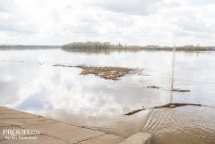    Фото: Пруфы.рф