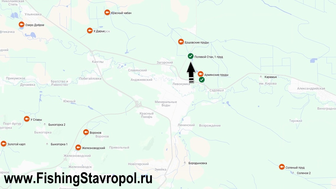 Платная рыбалка "Полевой стан, 1 пруд"