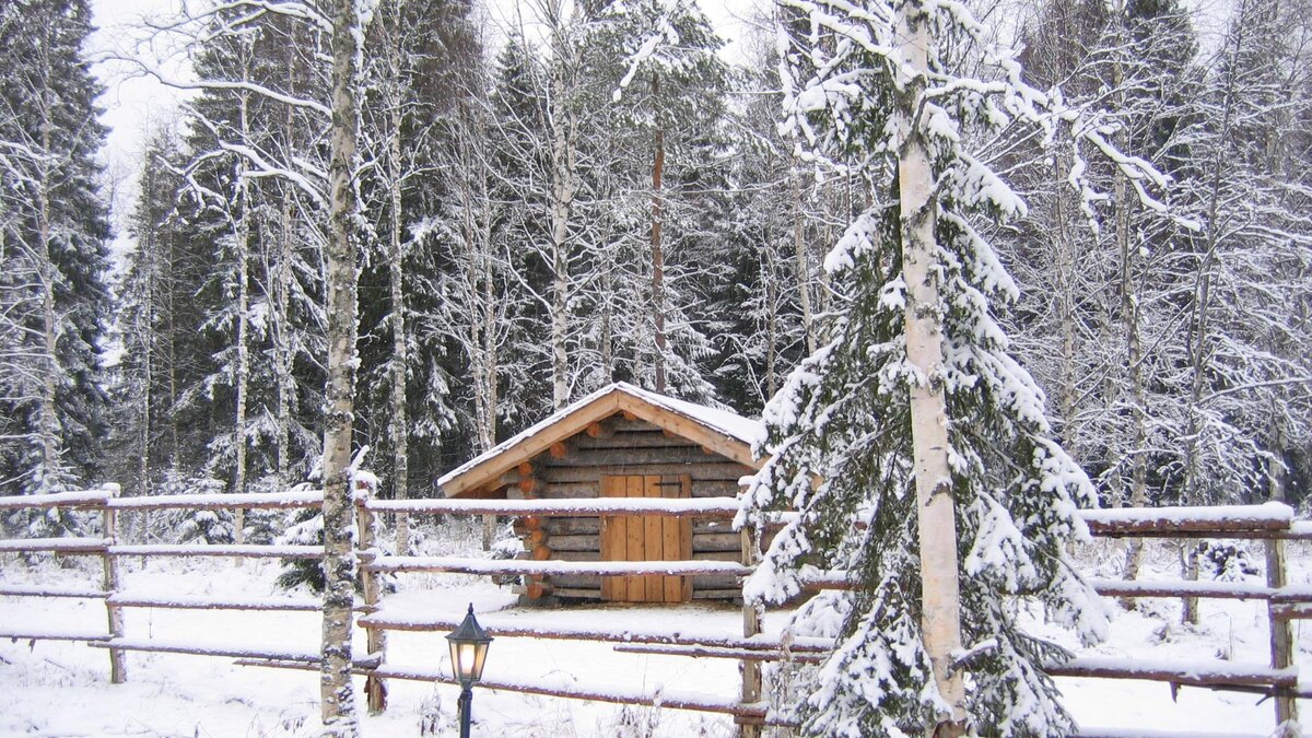    Фото: globallookpress.com/Svetlana Sizova