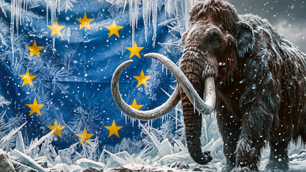 Фото: Арина Розанова | нейросеть Freepik