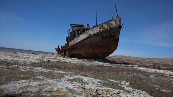    © AP / Sergey Ponomarev