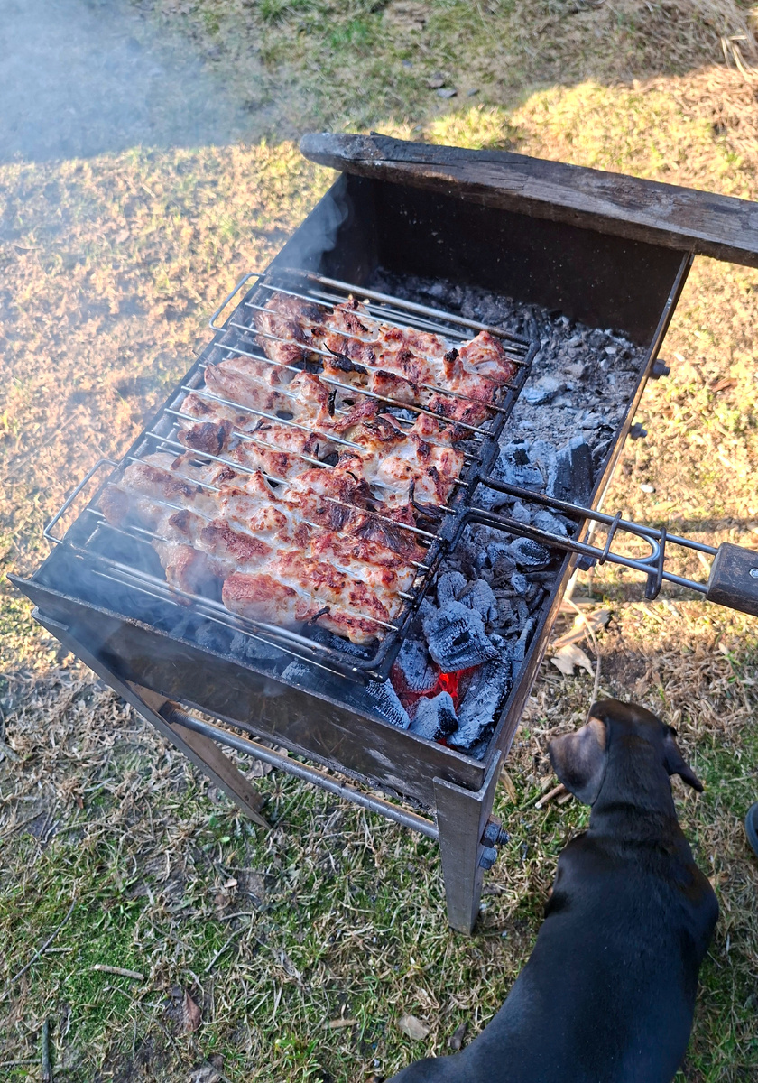 Шашлык 🥩