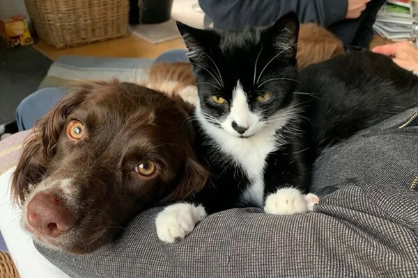 Hamish Rose/Facebook   📷