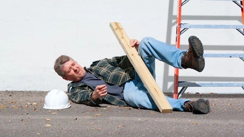    Фото: Michael O'Keene / Shutterstock / Fotodom