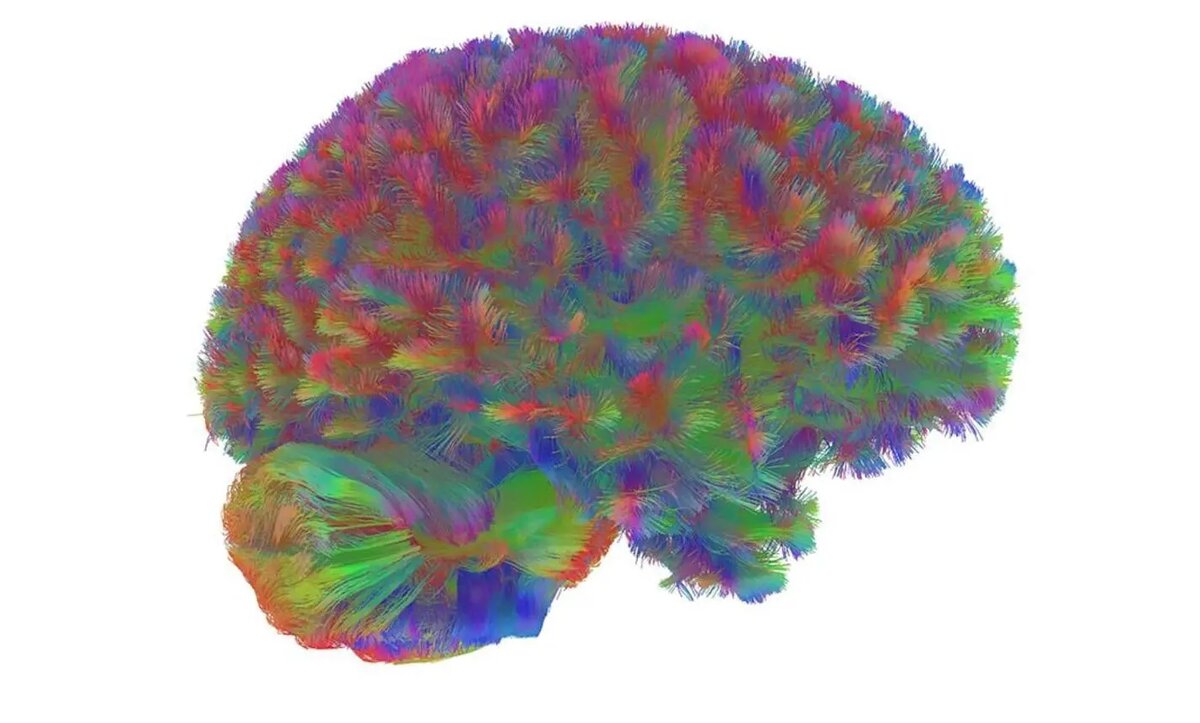    Источник: naked-science.ru Дмитрий Смирнов