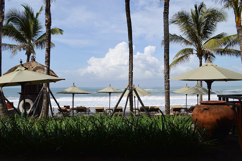 Автор фото: Porcinno Rondus. Источник: Wikimedia