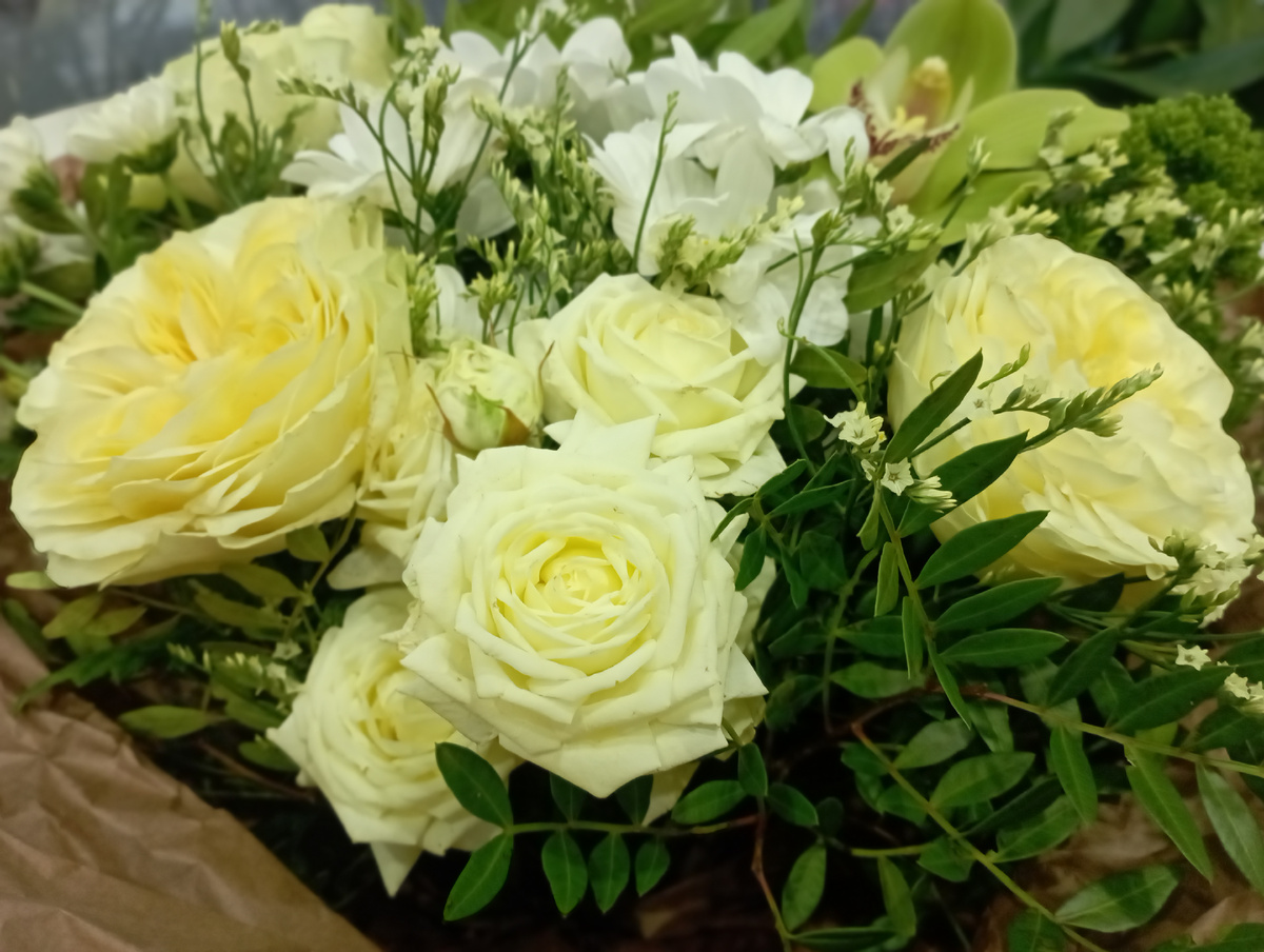 Фото автора. 