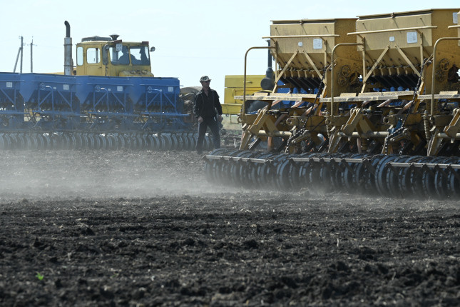  Фото: Людмила Ковалева, из архива редакции
