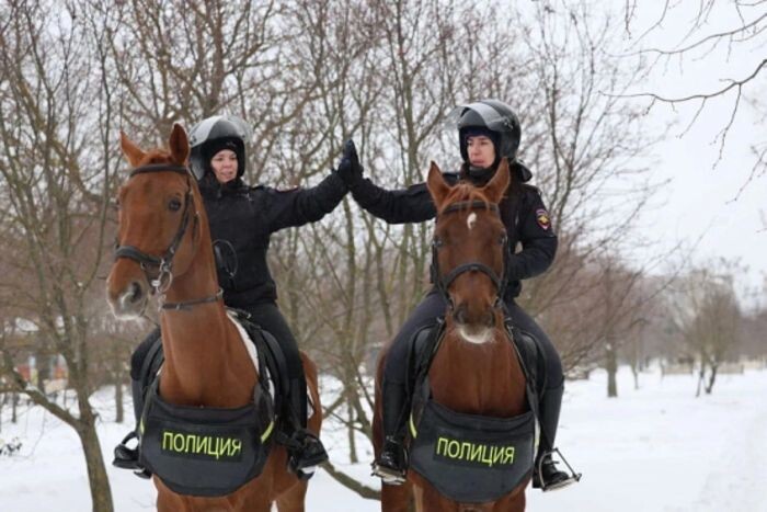 Иллюстрация: Пресс-служба МВД