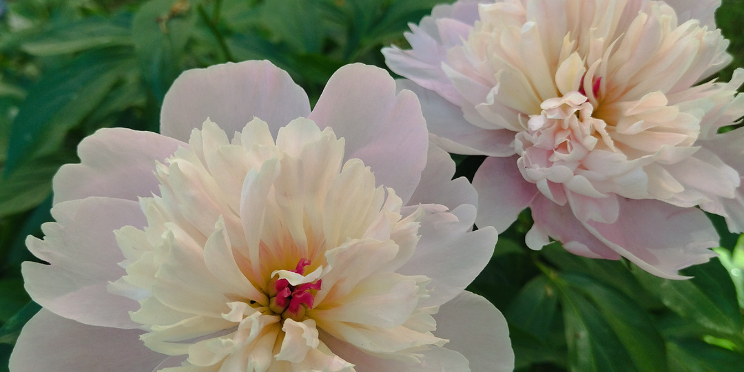 Пара слов о февральских финансах. Коротко и по делу