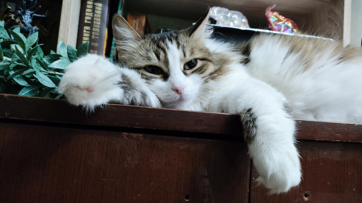 фото автора