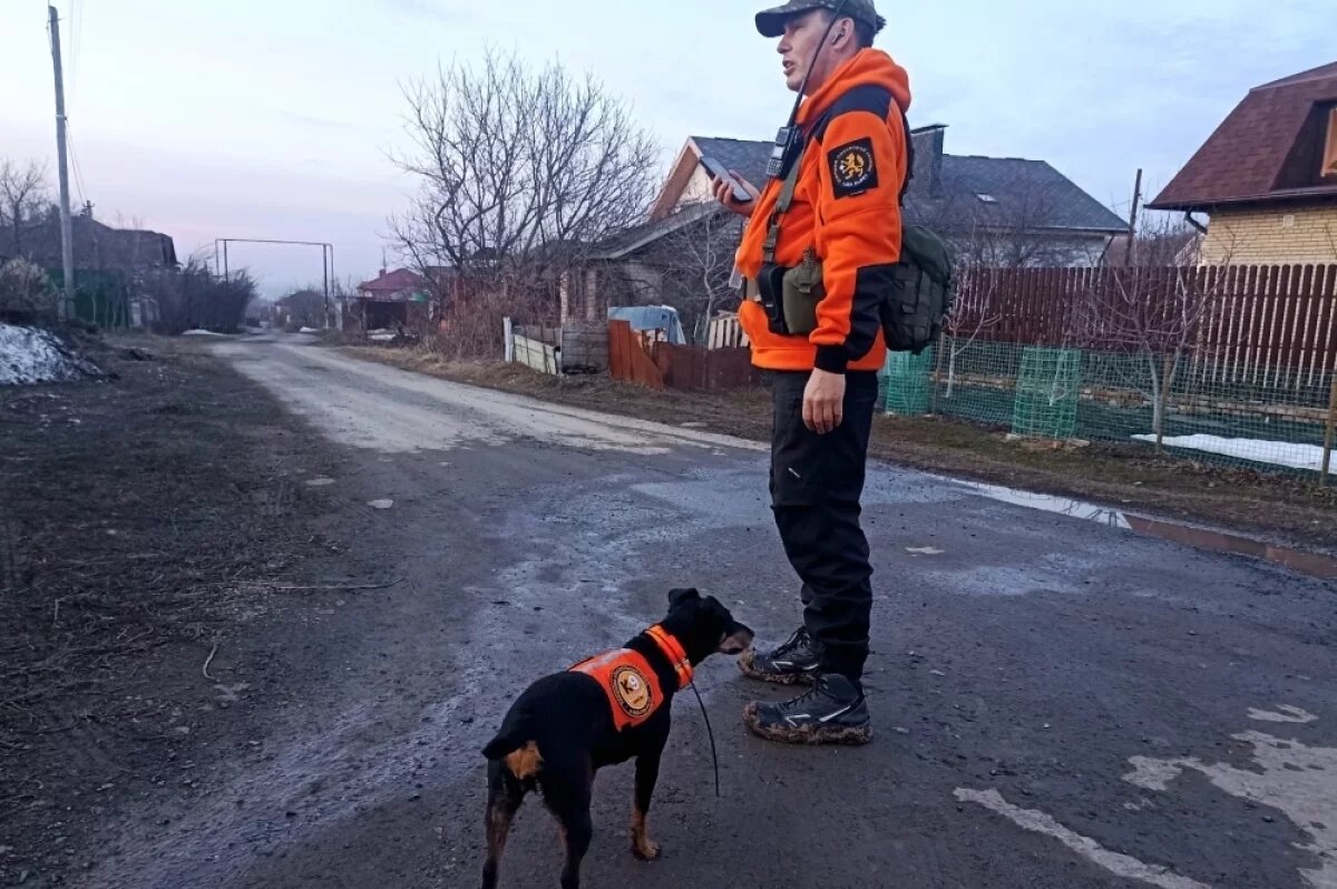    В Саратове пропавшего пенсионера ищут десятки волонтеров