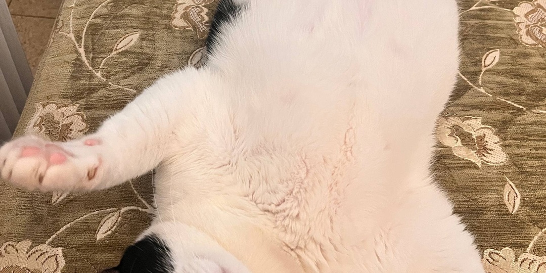 Помидоры и песочные часы помогают сфокусироваться