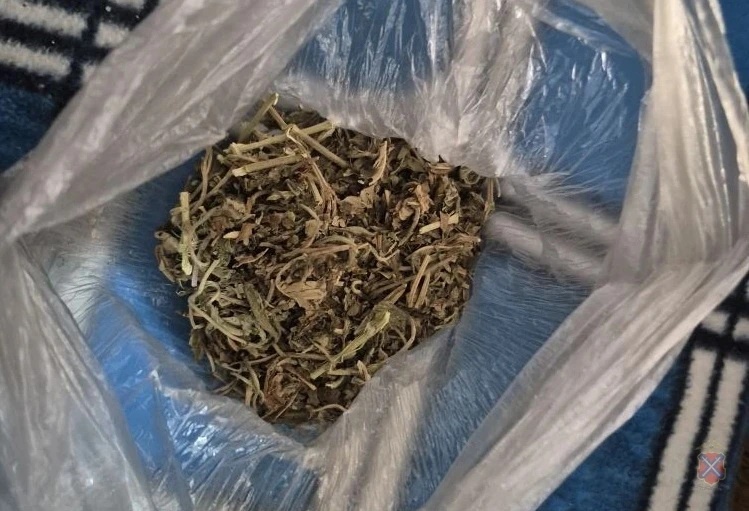 Фото: ГУ МВД по Волгоградской области