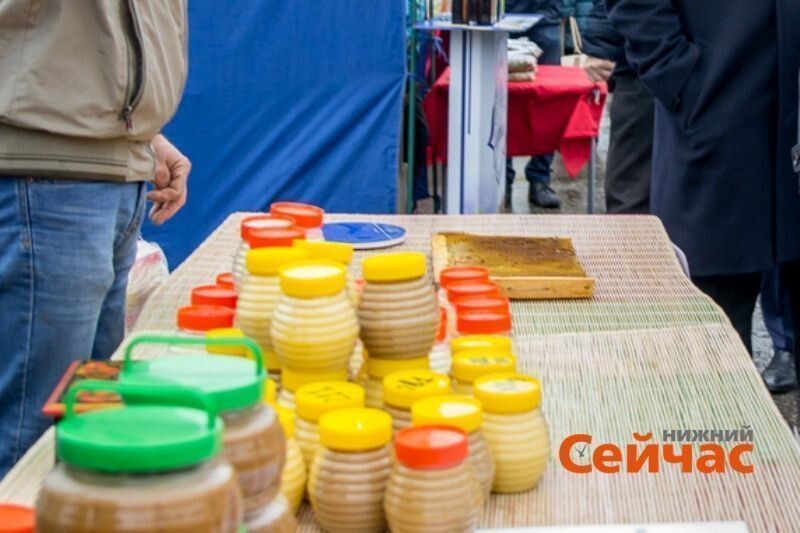    Фото: ИА "Нижний сейчас" Иван Воробьев