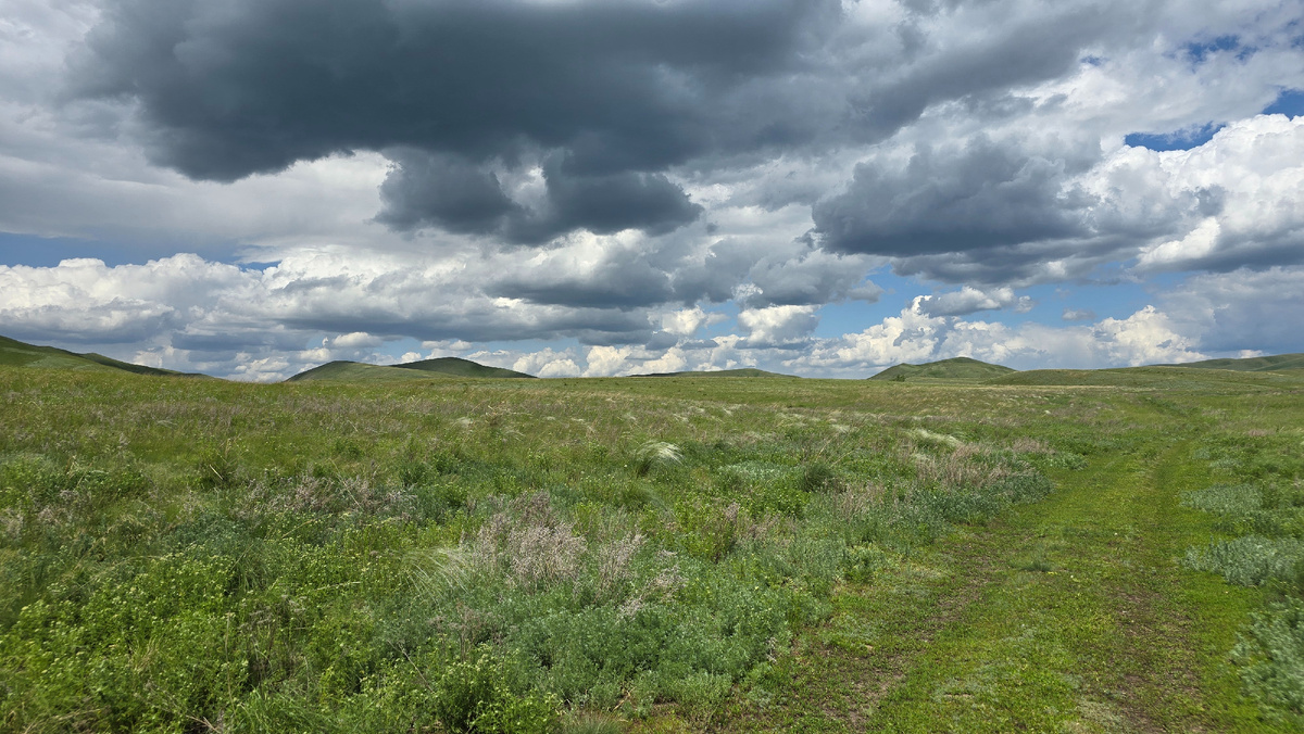 От Подгорного дорога идет по полям.