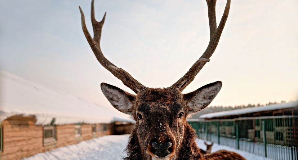    Медиасток.рф
