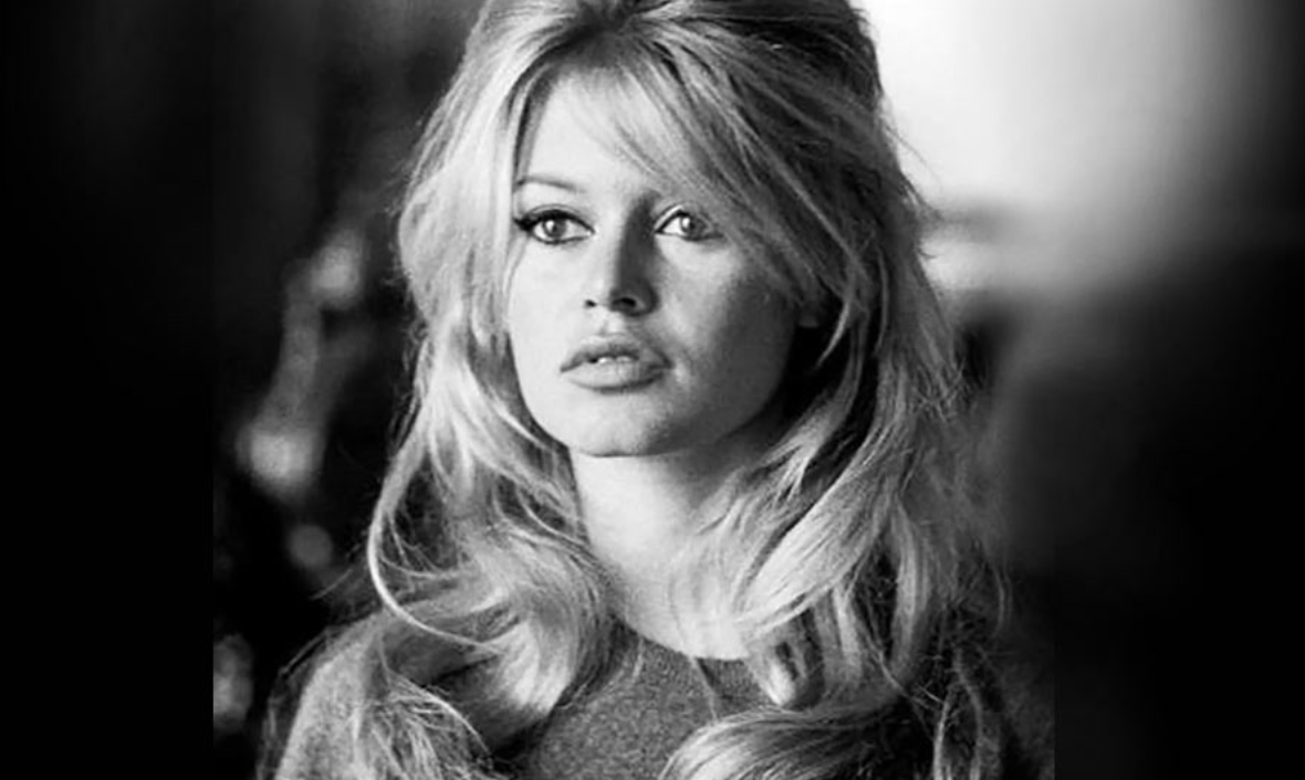 «Я украла статую свободы у Франции и перекрасила её в розовый»: шокирующие мемуары Брижит Бардо о любви к морским свинкам и коллекции чужих бикини