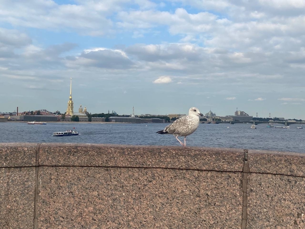    Фото: Бриф 24