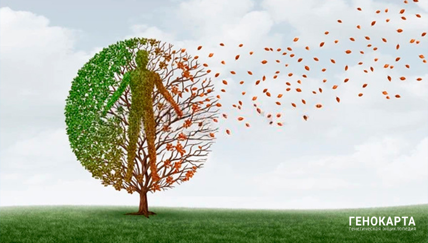 Lightspring // shutterstock.com