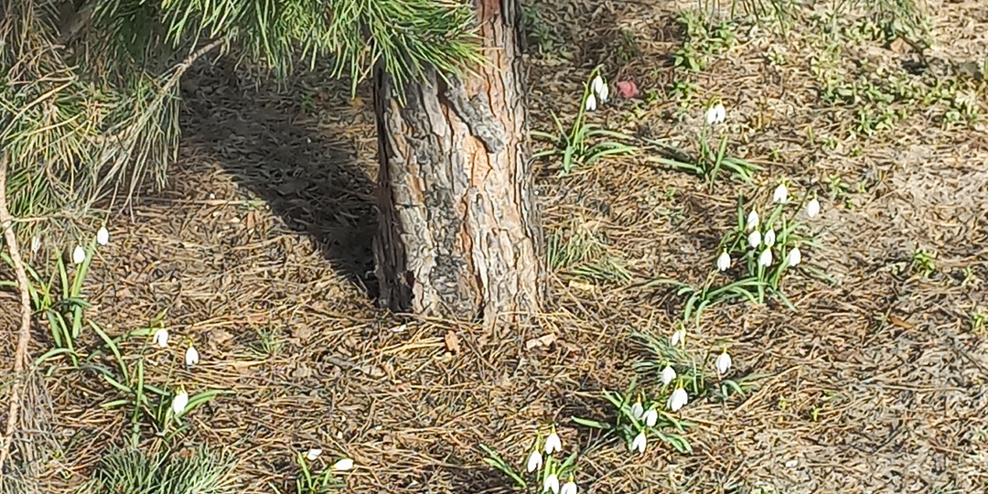 Она пришла.Сама по себе.И это  не зависело от наших желаний...
