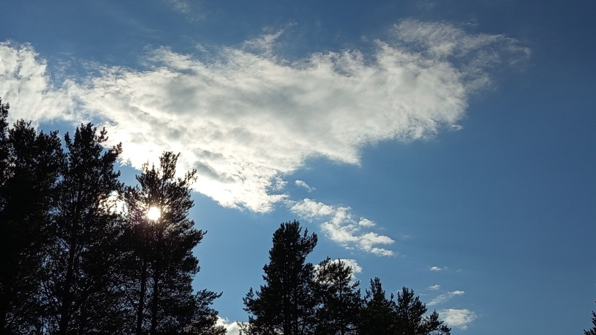    Фото из архива редакции