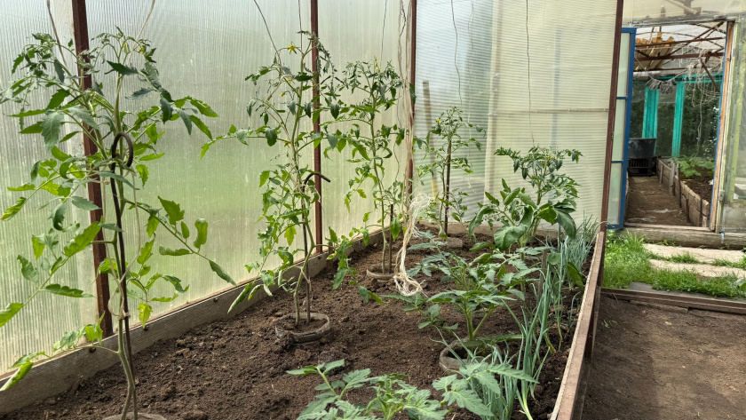    Фото: ПроГород