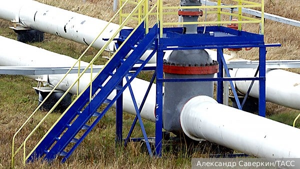     Фото: Александр Саверкин/ТАСС   
 Текст: Ольга Иванова