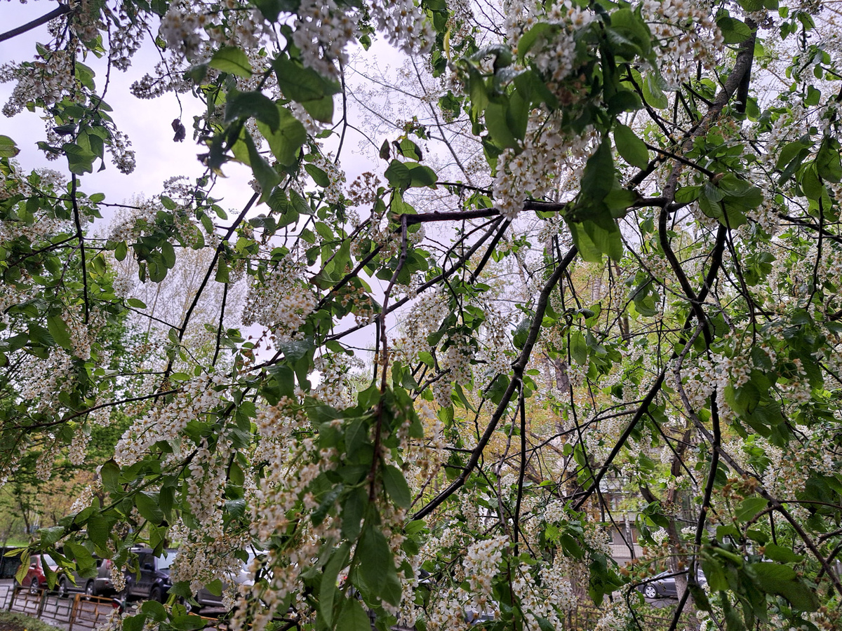 Ситуация будет развиваться стремительно на фоне активного снеготаяния и установившейся теплой погоды.  Фото: Фото: ФедералПресс / Вера Романескул