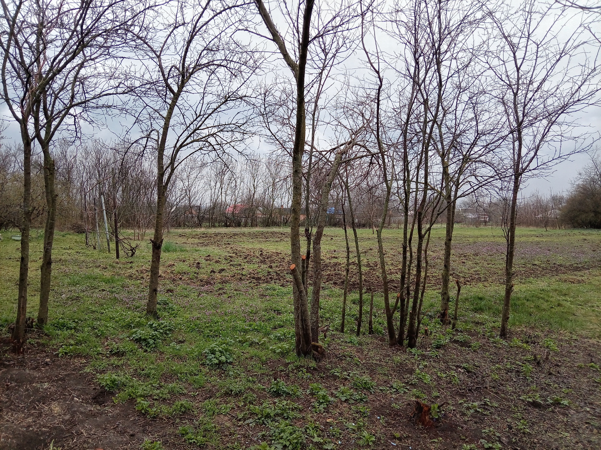 Я всё в огорде прибираюсь. 