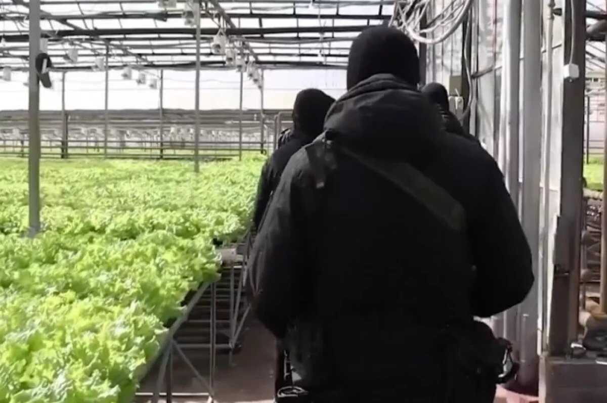    Из Челябинской области выдворят почти 170 иностранцев