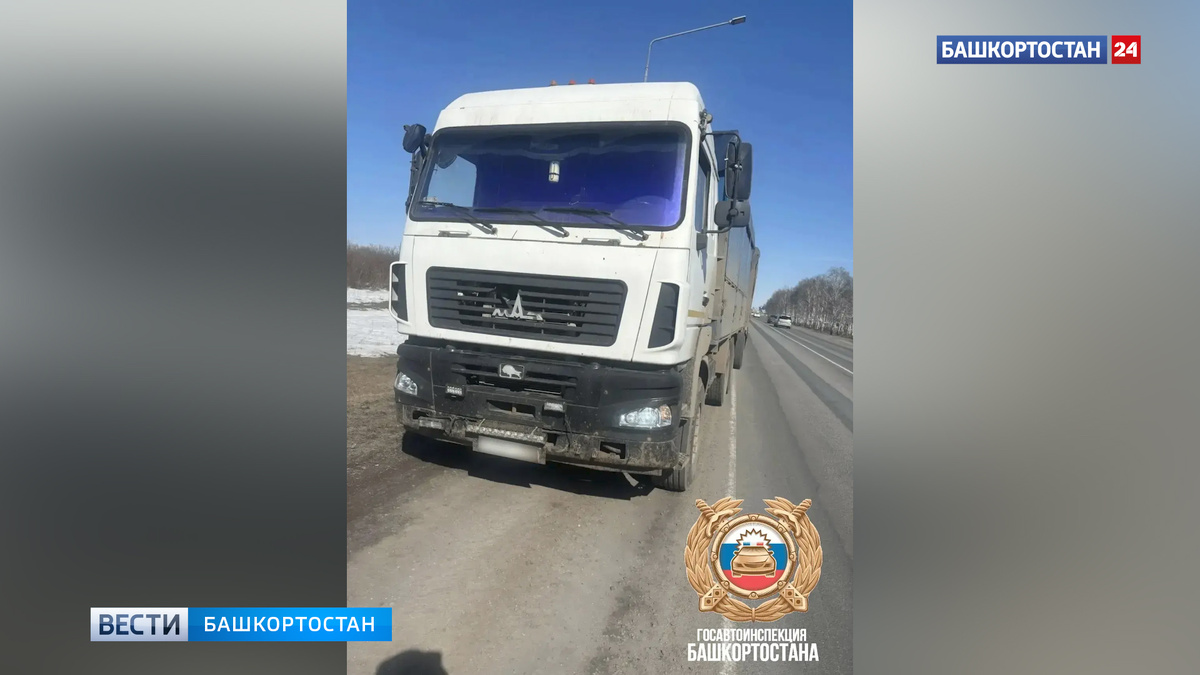    Водителя МАЗ с поддельными правами задержали на трассе Р-240 в Башкортостане