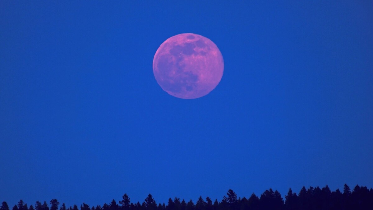    Фото: pr2is/Shutterstock/Fotodom