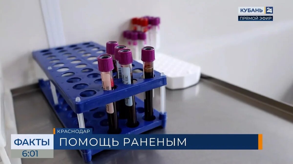    Скриншот видео телеканала «Кубань 24»