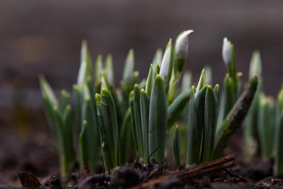 Олег Золото/«Петербургский дневник»